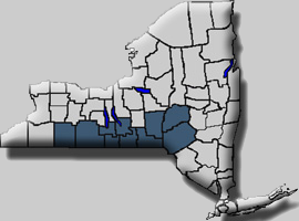 southern tier region of NY